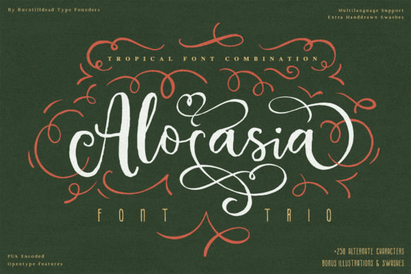 Alocasia: A Versatile Font Trio for Designers and Creators