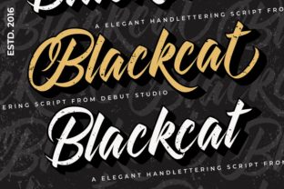 Blackcat